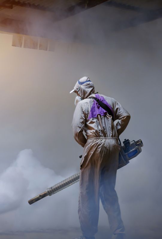 Rat Fumigation Service in Ann Arbor, MI