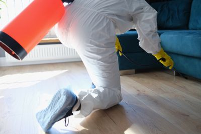 Roach Fumigation in Gwinnett County, GA