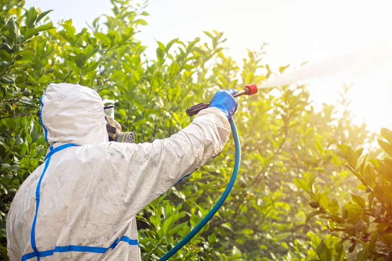 Spider Fumigation Service in Tampa, FL