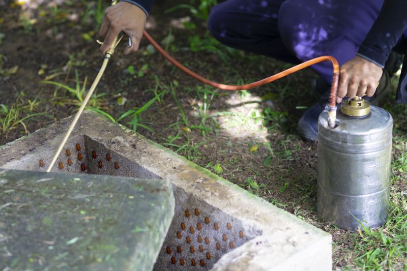 Spider Fumigation Service in Fort Myers, FL
