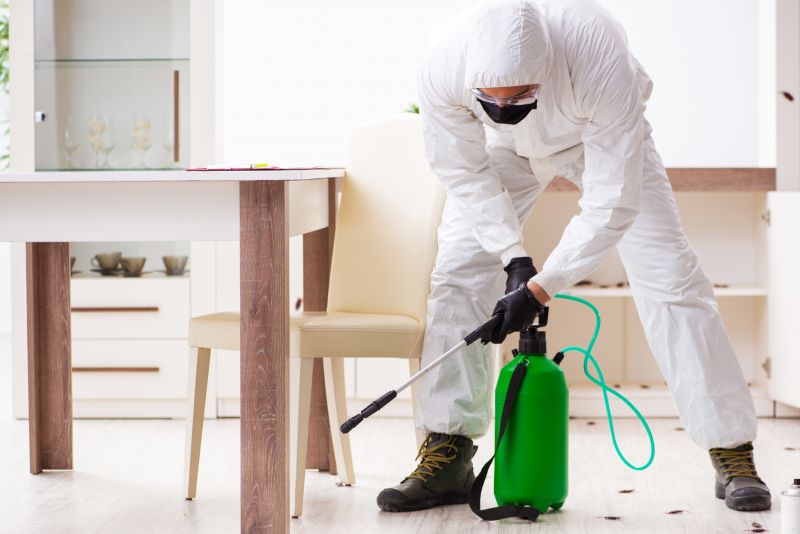 Why Professional Stinging Insect Pest Control Is Safer Than Diy Removal